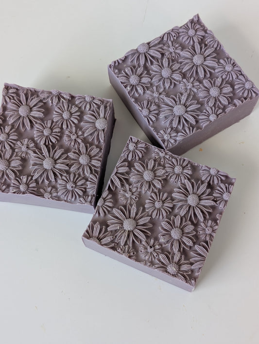 **Sweet Grace - Daisies**