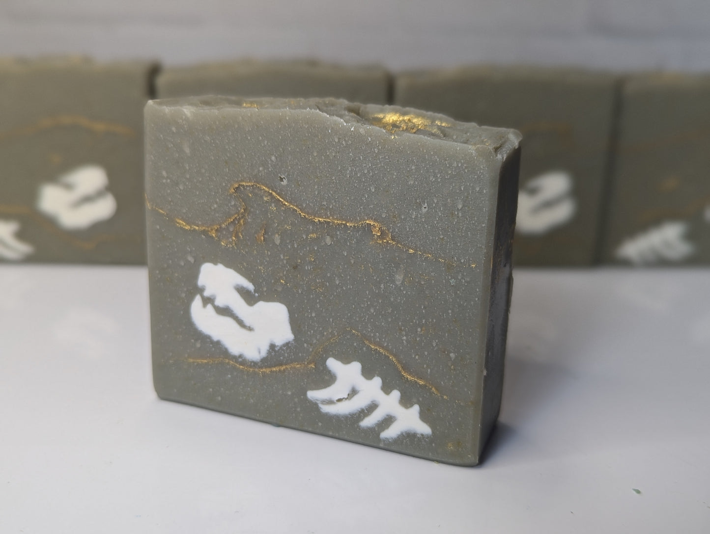 Soapmaking Tools: Dinosaur Bone Fossil Disc Set